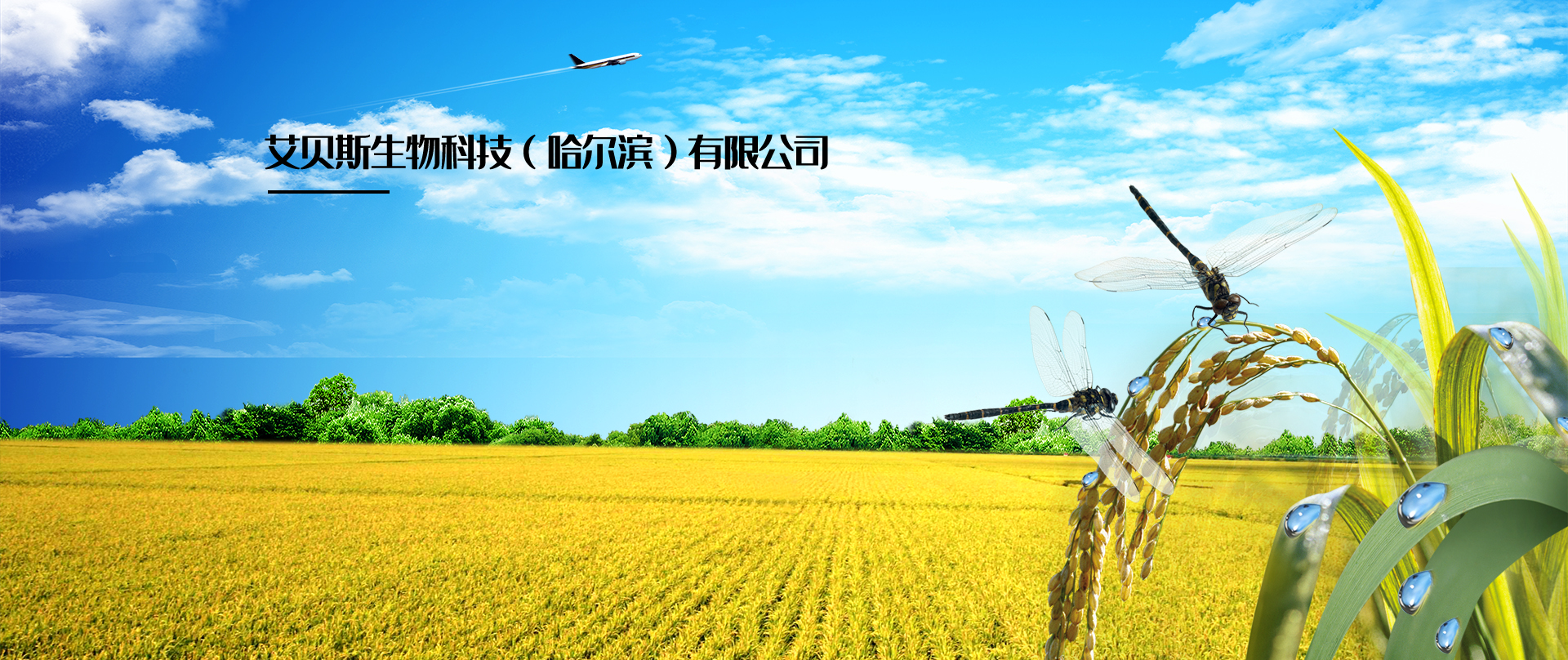 艾貝斯生物科技（哈爾濱）有限公司