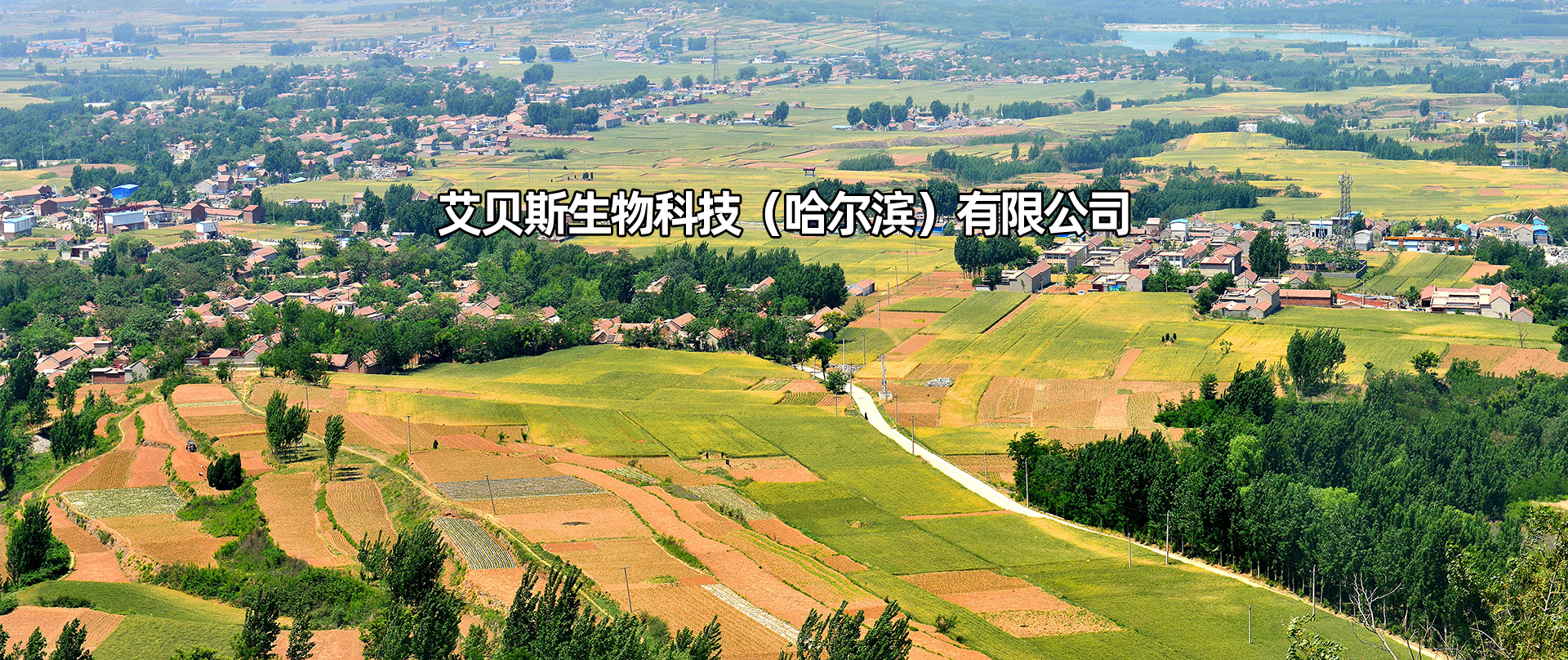艾貝斯生物科技（哈爾濱）有限公司