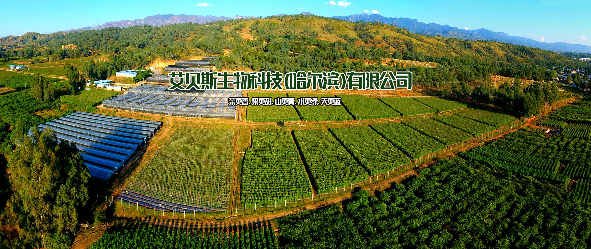 艾貝斯生物科技（哈爾濱）有限公司